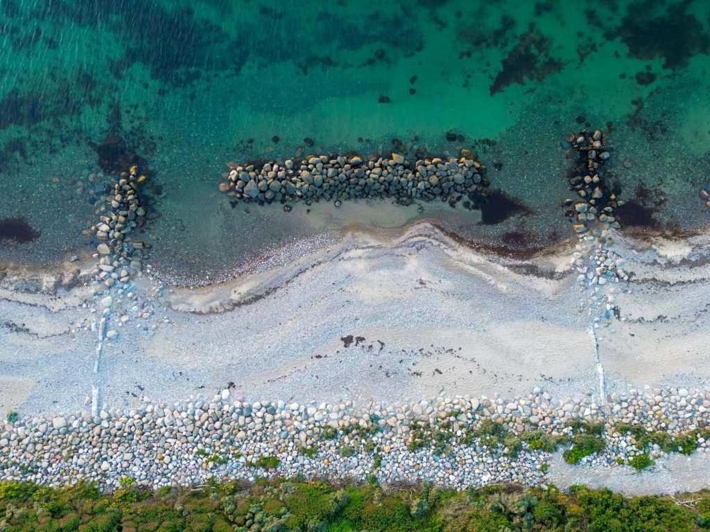 Da jeg fandt skimmelsvamp i mit sommerhus i Gilleleje